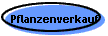 Pflanzenverkauf